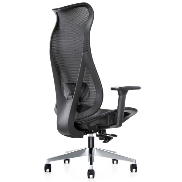 Mala High Back Full Mesh Ergonomic Office Chair 